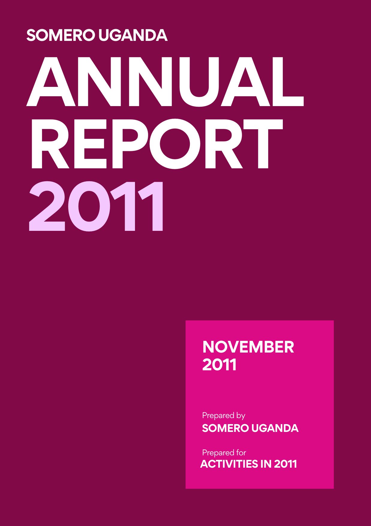 2011 Somero Development Initiative Annual Report