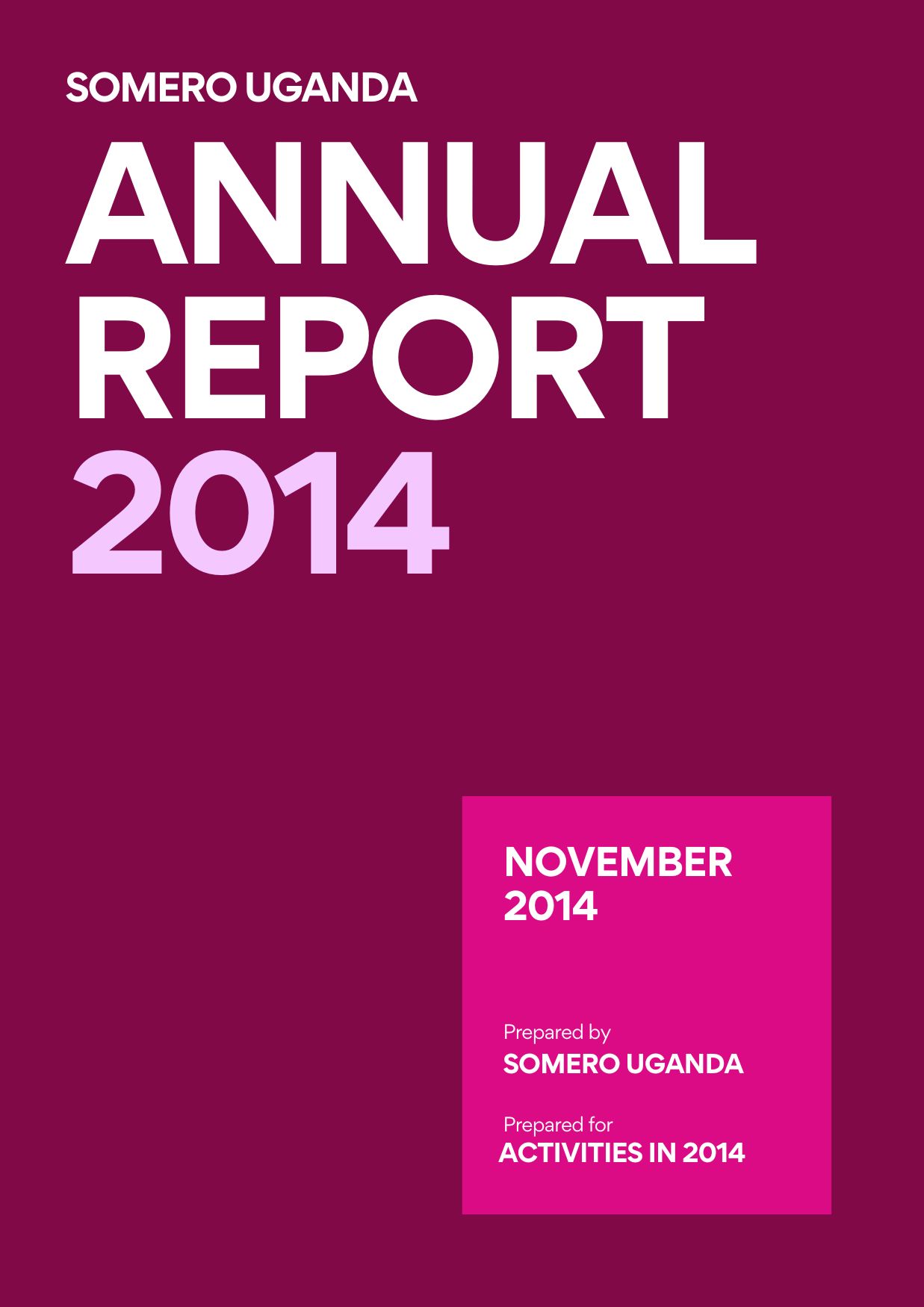 2014 Somero Development Initiative Annual Report