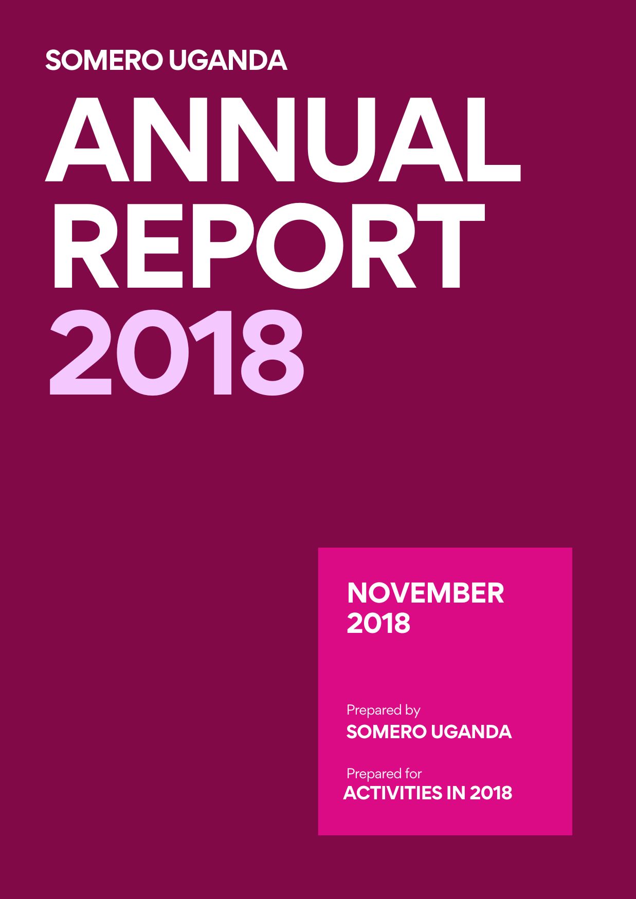 2018 Somero Development Initiative Annual Report